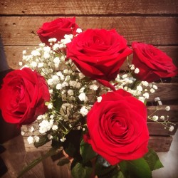 5 roses rouges + gypso