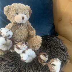 Coton et peluche