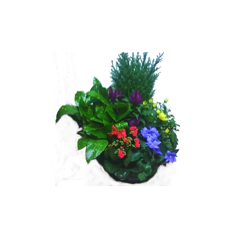 Grande coupe de plantes