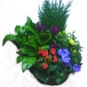 Grande coupe de plantes