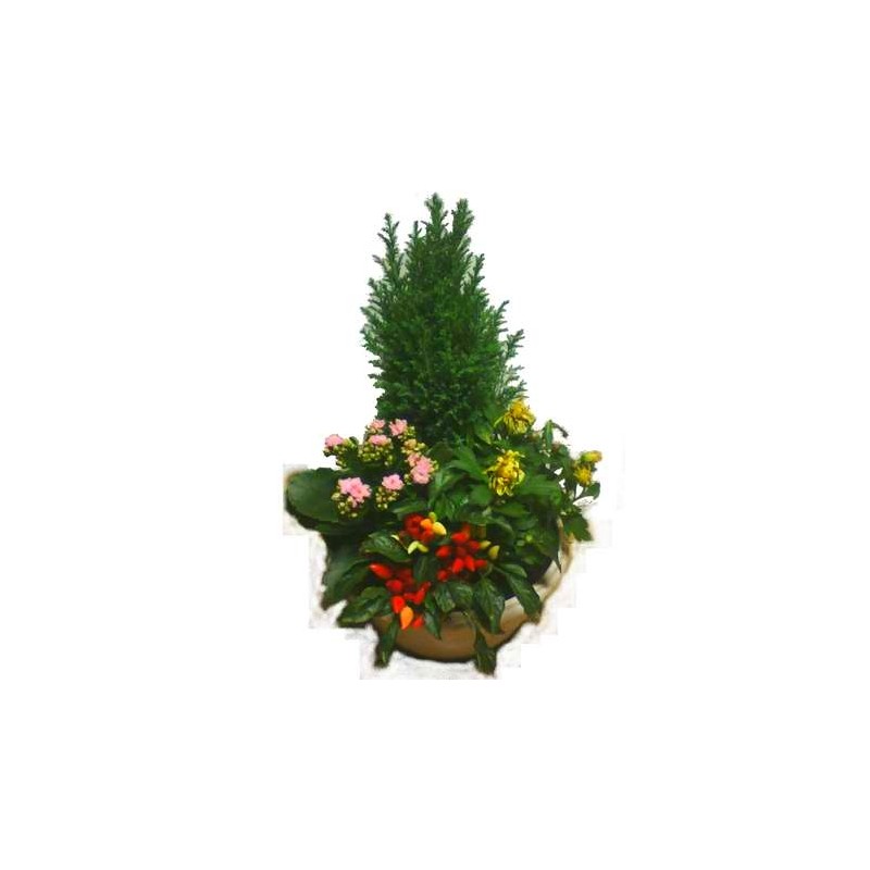 Petite coupe de plantes