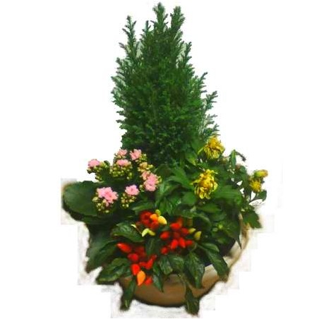 Petite coupe de plantes