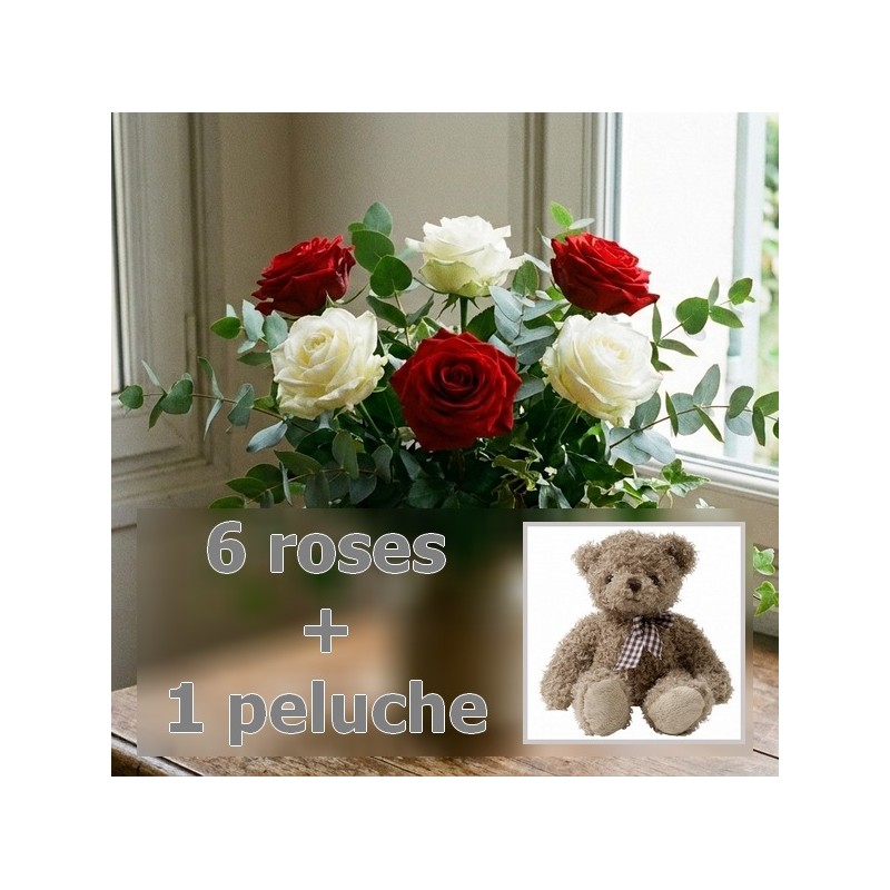 6 roses + peluche