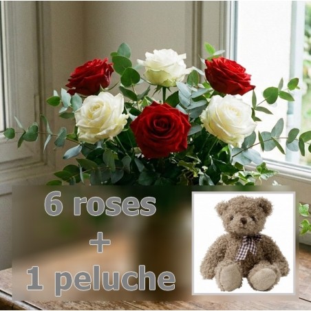 6 roses + peluche